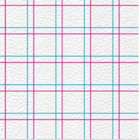 Салфетки "Семья и Комфорт" 100 клетка 2х.цв. (48)